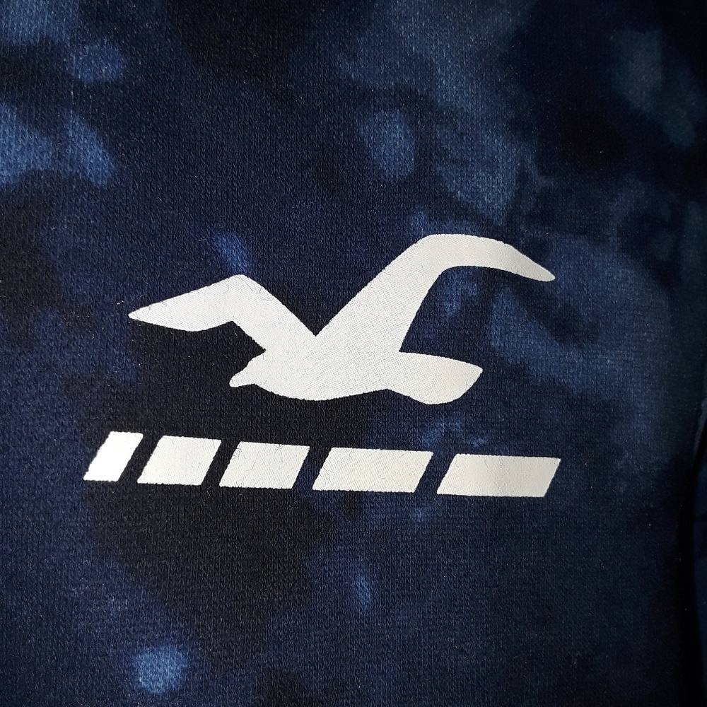 Nwt Mens Hollister Classic Logo Hoodie - Picture 4 of 8